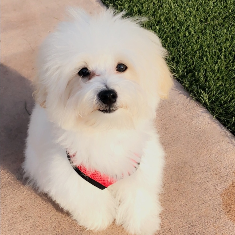 Meet your Posher, Melissa